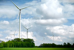 包頭寶尼爾電器網站設計